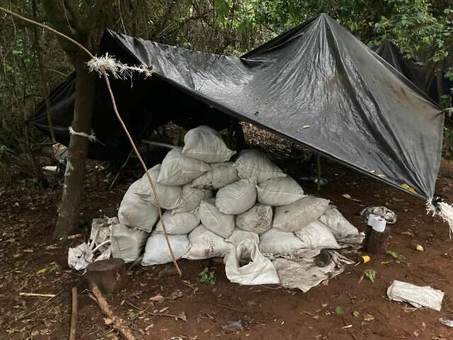 Ag&ecirc;ncia paraguaia encontra ro&ccedil;a em morro e destr&oacute;i 8 toneladas de maconha