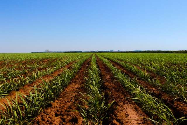 Definidas datas da maior feira do setor sucroenerg&eacute;tico de MS