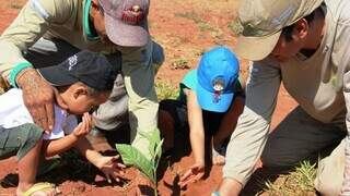 Árvore sendo plantada por crianças. (Foto: Divulgação)