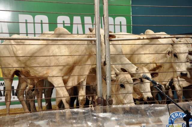 TRF barra devolu&ccedil;&atilde;o de quase R$ 1 milh&atilde;o de leil&atilde;o de fazendeiros 