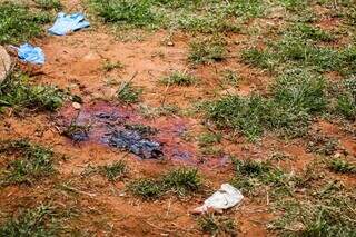 Mancha de sangue no chão do quintal onde aconteceu os esfaqueamento de Geni, Tatiana e Jadson (Foto: Henrique Kawaminami)