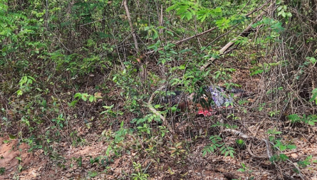 Corpo com sinais de perfura&ccedil;&atilde;o no pesco&ccedil;o &eacute; encontrado queimado 