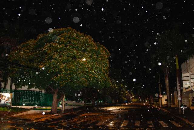 Ap&oacute;s ventos fortes, Campo Grande registra chuva em v&aacute;rios bairros