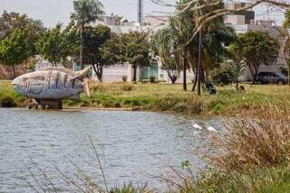 O Jardim Itatiaia é conhecido pela lagoa que existe no bairro. (Foto: Henrique Kawaminami/Arquivo)