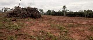 Área desmatada em fazenda de Mato Grosso do Sul. (Foto: Divulgação MPMS)