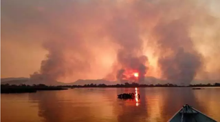 Incêndios no Pantanal no ano de 2020, quando bioma foi devastado pelas chamas. (Foto: Ronaldo Nogales/Ecoa)