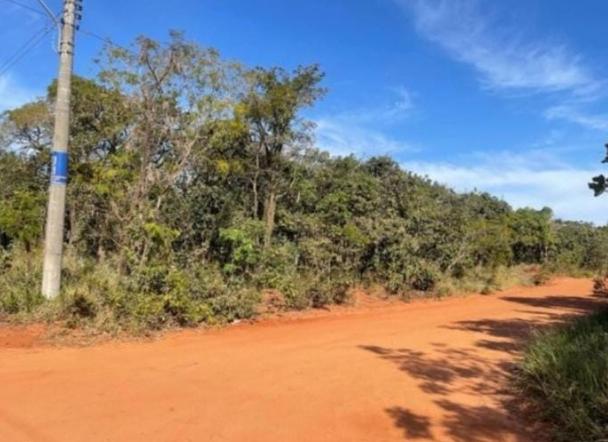 Advogado &eacute; preso em cart&oacute;rio tentando vender terreno de outra pessoa 
