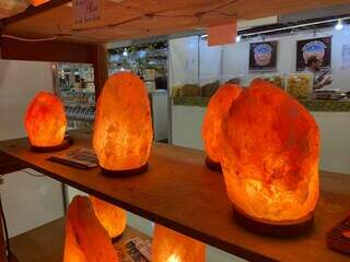 Luminárias estarão à venda em Campo Grande até dia 9 de outubro. (Foto: Thailla Torres)