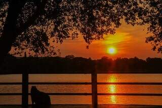Capivara contempla o sol nascendo no Lago do Amor, na Capital (Foto: Henrique Kawaminami)