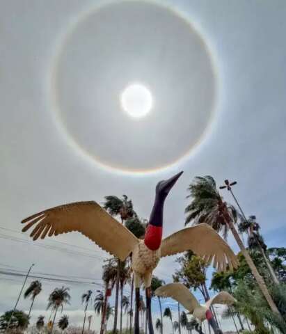 Encantador, fen&ocirc;meno meteorol&oacute;gico halo solar aparece no c&eacute;u de Campo Grande