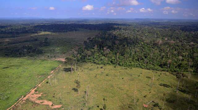 &Aacute;rea agr&iacute;cola do pa&iacute;s cresceu 230 mil km&sup2; e a vegeta&ccedil;&atilde;o natural diminuiu 513 mil