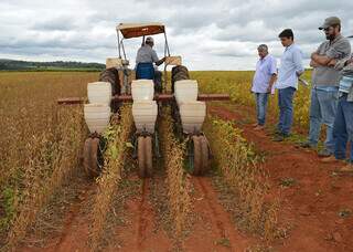 Técnicos acompanham experimento com semeadora-adubadora adaptada para plantio do milho 2ª safra antes da colheita da soja. (Foto: Guilherme Viana)