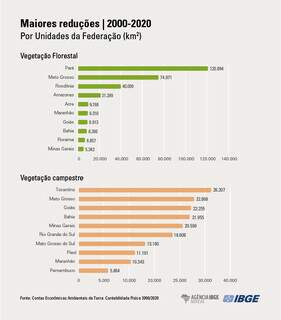 Gráficos mostram reduções entre 2000 e 2020 (Arte: Helga Szpiz e Jessica Cândido, da Agência IBGE)