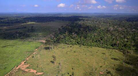 Área agrícola do país cresceu 230 mil km² e a vegetação natural diminuiu 513 mil