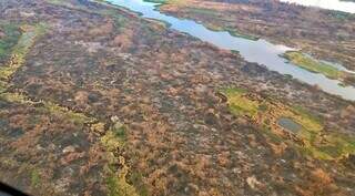 Preserva&ccedil;&atilde;o do Pantanal depende da Amaz&ocirc;nia e Cerrado, diz pesquisador