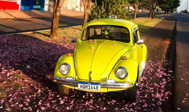 "Fusca táxi" saiu melhor do que a expectativa e sobe até morro