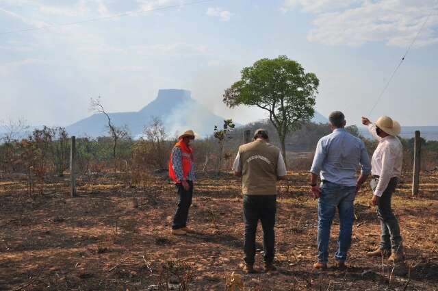 Preserva&ccedil;&atilde;o do Pantanal depende da Amaz&ocirc;nia e Cerrado, diz pesquisador