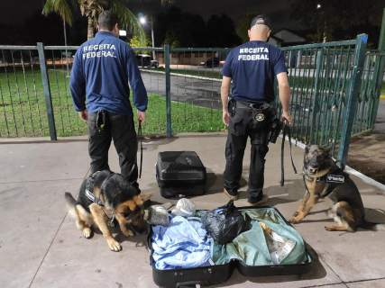 Flagrado por cães, passageiro é preso com droga que seria entregue na Capital