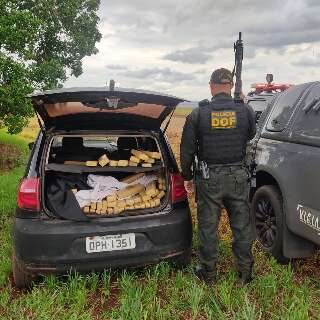 Carro furtado em MG é apreendido com R$ 1,4 milhão em maconha 