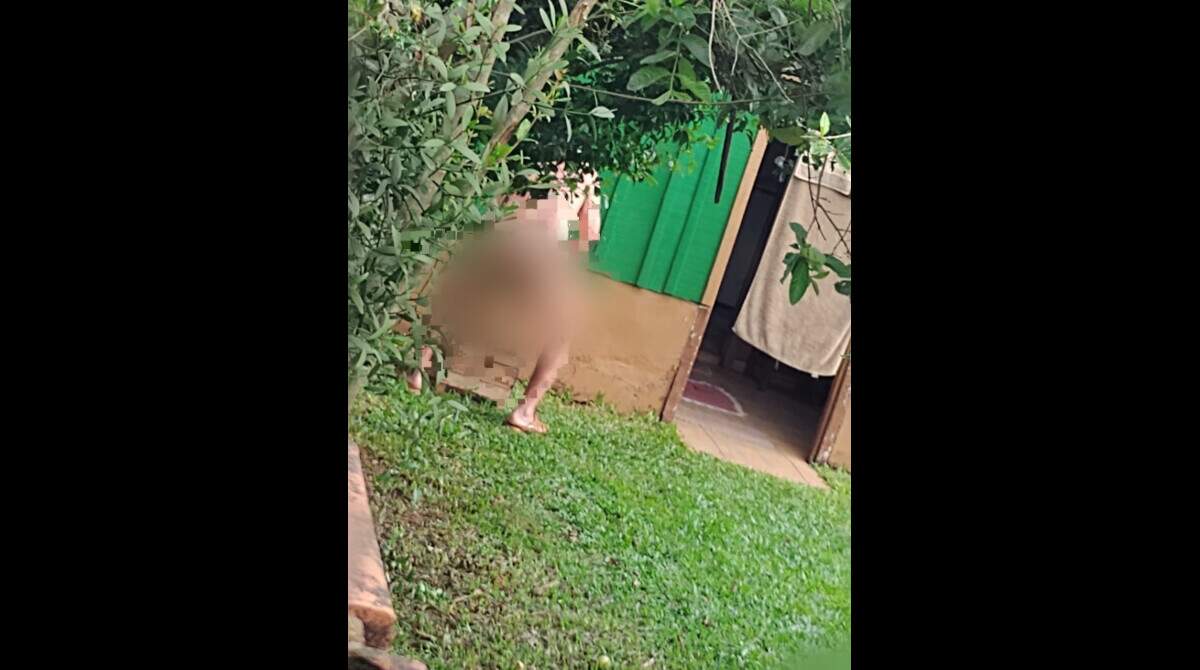 Vídeo pornô homem com animais