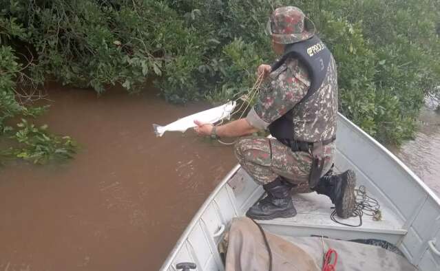 PMA devolve 10 Kg de pescado vivo ao Rio Ivinhema em dois dias de fiscaliza&ccedil;&atilde;o