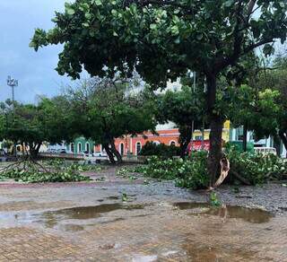 Estragos causados pela recente chuva que caiu no centro de Corumbá (Foto: Direto das Ruas)