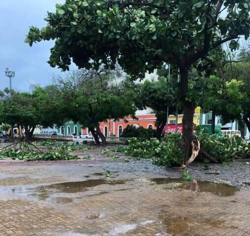 Pantanal segue em alerta de chuvas intensas e ventos fortes