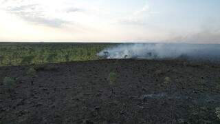 Área do Pantanal de Corumbá em que fica visível o fogo em andamento, área queimada e vegetação ainda verde. (Foto: Corpo de Bombeiros)