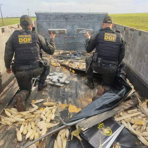 Traficante &eacute; preso com R$ 2 milh&otilde;es de maconha em fundo falso de caminh&atilde;o