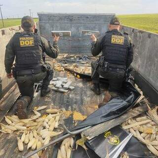 Policiais retirando os tabletes da droga do caminhão. (Foto: DOF) 