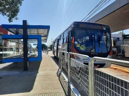STF confirma transporte público gratuito no segundo turno
