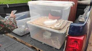 Serpentes e lagarto eram mantidos em caixas de plástico e condições precárias de higiene. (Foto: Divulgação | PCMS)