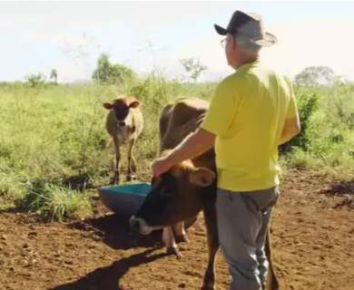 Há 3 dias sem luz, dono de sítio perde produção de leite e pede socorro