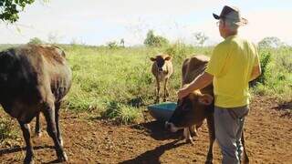 José Alceu Cabral, dono da marca Queijos Dazú, em sua propriedade, em Jaraguari. (Foto: Sebrae/MS)