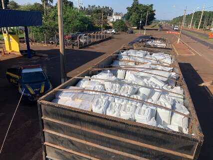 Polícia apreende carga milionária de agrotóxico contrabandeado na BR-163