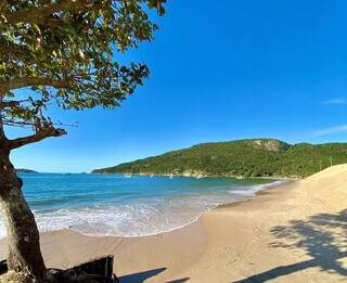 Praia dos Ingleses, uma das mais cobiçadas de Santa Catarina. (Foto: @Floripando)