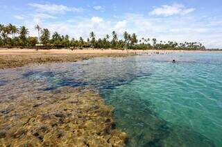 As piscinas naturais de Taipu de Fora, em Barra Grande, na Bahia, é um bom exemplo de lugar calmo e tranquilo para curtir o mar sem riscos (Foto: Monique Renne/MelhoresDestinos)