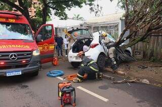 Motorista perde controle, bate em &aacute;rvore e passageiro fica preso em ve&iacute;culo