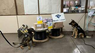 Cães farejadores Ice e Yanco ao lado da mercadoria apreendida pela equipe. (Foto: Divulgação | Receita Federal)