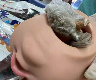 Sementes de maconha estavam escondidas na cabeça de uma boneca. (Foto: Divulgação | Receita Federal)