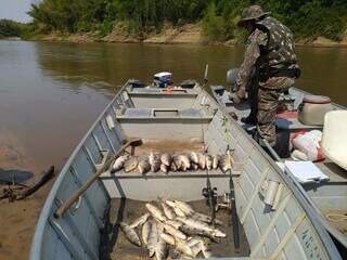 Peixes pescados ilegalmente, apreendidos pela PMA em rio de Mato Grosso do Sul. (Foto: Divulgação/PMA)