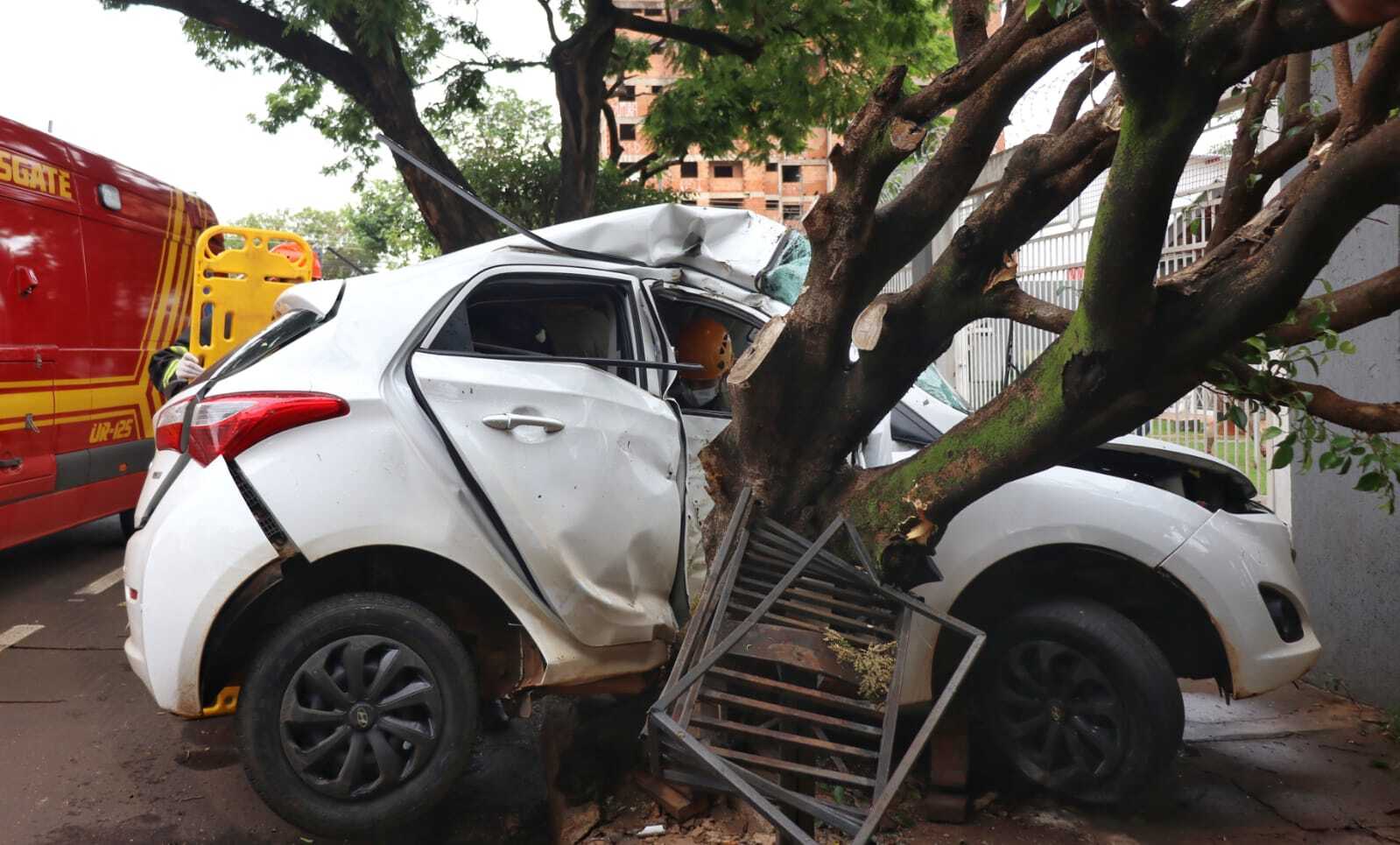 Motorista perde controle bate em árvore e passageiro fica preso em