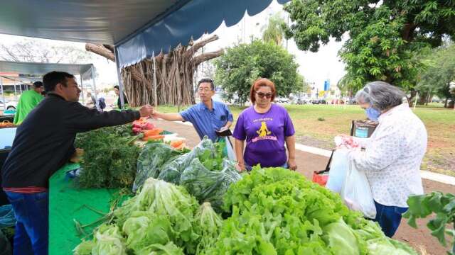 Agricultores levam produtos direto da horta para shopping a partir desta sexta 