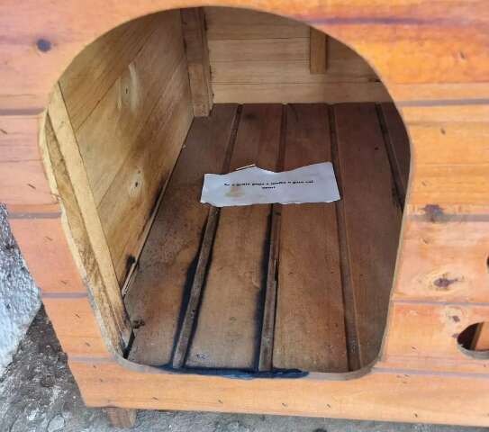 Frajola tem casinha queimada e recebe bilhete com amea&ccedil;a em condom&iacute;nio