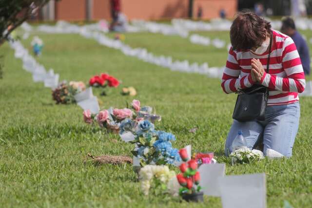 Pre&ccedil;o de flores para o Dia de Finados tem varia&ccedil;&atilde;o de at&eacute; 500%