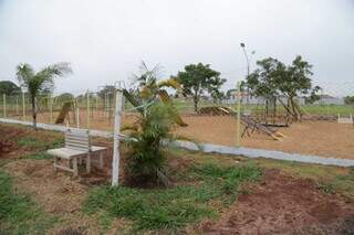 Bosque Camburé está localizado no Bairro Oliveira II. (Foto: Kísie Ainoã)