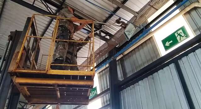 Enrolada em refletor de luz, jiboia de 2 metros é capturada em cima de telhado