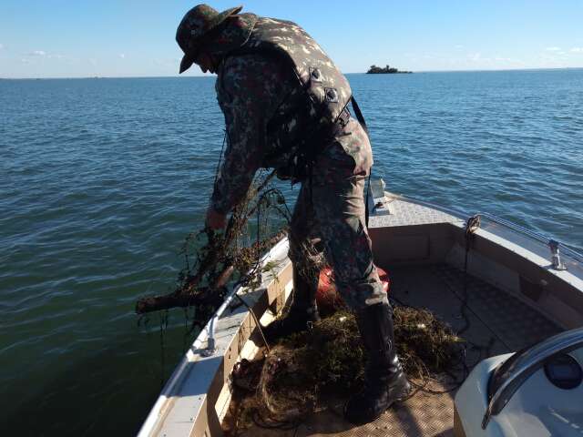 Piracema come&ccedil;a hoje em tr&ecirc;s rios na bacia do Paran&aacute; e dia 5 na do Paraguai