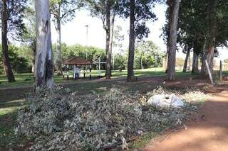 Tela caída e acúmulo de restos de vegetação em frente à estátua do Preto Velho. (Foto: Paulo Francis)