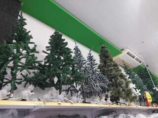 Árvores de Natal em modelos variados estão disponíveis. (Foto: Aletheya Alves)